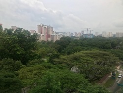 Blk 315A Ang Mo Kio Street 31 (Ang Mo Kio), HDB 4 Rooms #178376962